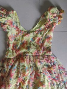 Floral Chiffon Mini Dress