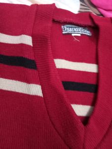 Dav Public School Sweater
