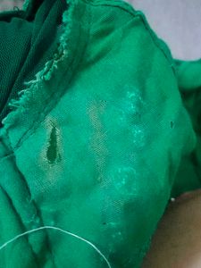 Green Embroidered Blouse