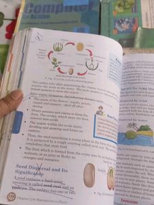 Universal Science 7
