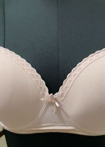 Secret Possession Imported Light Pink Bra