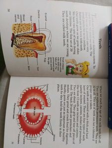 Junior Encyclopedia