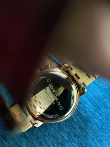 Giordano Premier  P1055-55 Watch