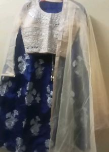 Silks Febric Endo western Lehnga