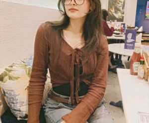 Brown Sheer Pull Over
