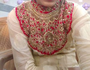 Velvet Design Net Anarkali Type Top