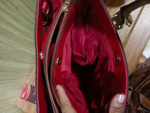 Aldo Striped Handbag