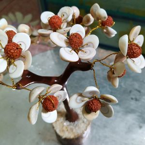 Laxmi Vastu Chakra Rudraksh Tree Money &amp; H