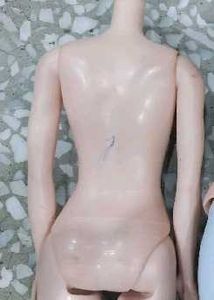 Barbie Doll Bodies