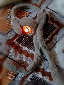 A Rabbit Head Phone Like Band They Cover Our Ear