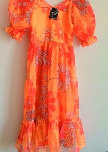 Organza Fabric Gown