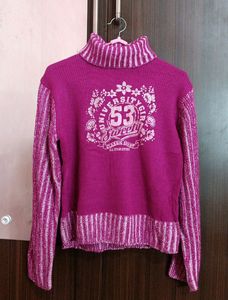 Turtle Neck Purple Sweater