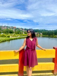 Burgundy Ruffle Dress