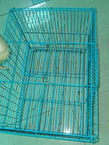 Blue Bird Cage