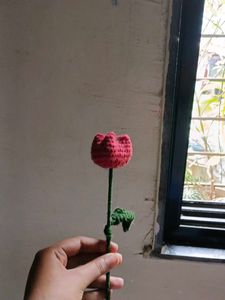 Tulip 🌷