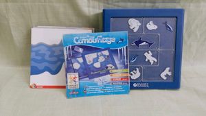 North Pole Camouflage Game