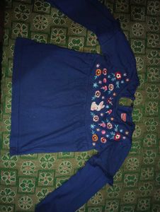 Cute Blue Embroidered Top