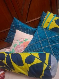 CUSHIONS WITH COVER