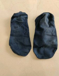 Navy Blue Women Socks