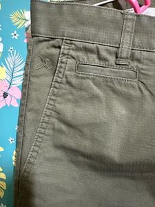 Olive Green Formal Pant