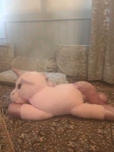 Pink Unicorn Plush Toy