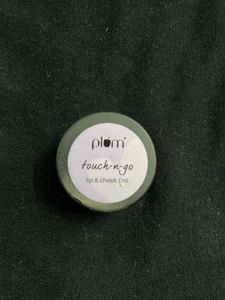 Plum Touch-n-Go Lip & Cheek Tint | Pinched Nude