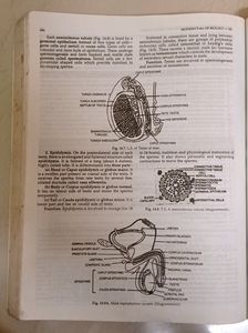 MODERN&#39;S abc of BIOLOGY For Class 12 (XII)