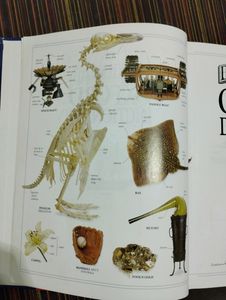 Oxford Dictionary Dk Illustrated