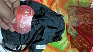 Ladyland Nursing Bra