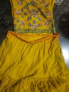 Embroidered Lehenga Choli