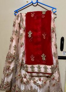 Elegant Embellished Choli