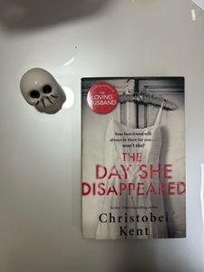 The Day She Disappeared Novel By Christobel Kent