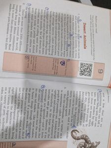 English HoneySuckle Textbook For Class VI