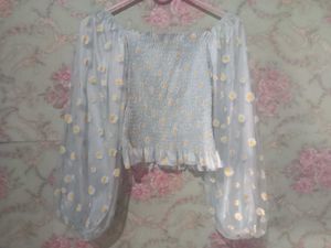 Daisy Sheer Sleeve Top