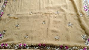 Elegant Embellished Saree