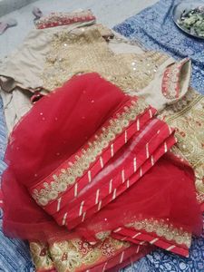 Embroidered Lehenga Choli
