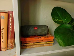 JBL Flip 5 Deep Bass Portable Speaker
