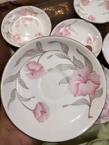 Fine Bone China Plates
