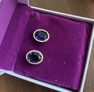 Elegant Blue Stone Earrings