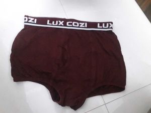 lux cozi underwear