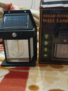 Solar Body Induction Lamp