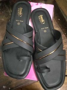 Completely New Flats