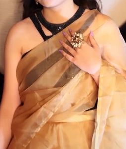 Elegant Saree without blouse