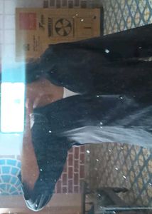 black shirt for womens