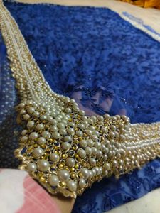 Elegant Blue Embellished Saree