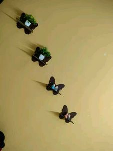 New Home Decor Item Set Of 4