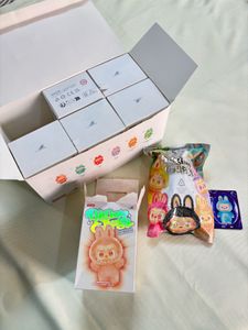 Labubu Blind Box Version 3