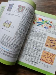 11th Biology Ncert