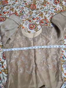 Organza Tissue Partywear Kurta
