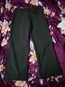 Green Straight Fit Pants